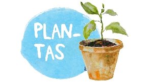 plantas